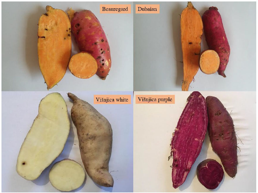 Purvey'd Potato Varieties