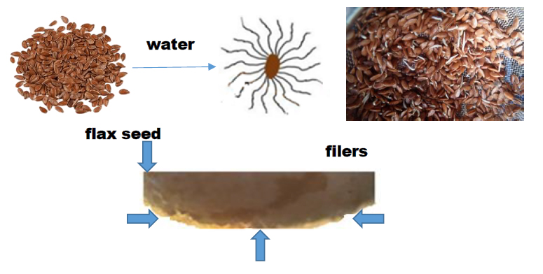 Characteristics of mucous-forming polysaccharides extracted